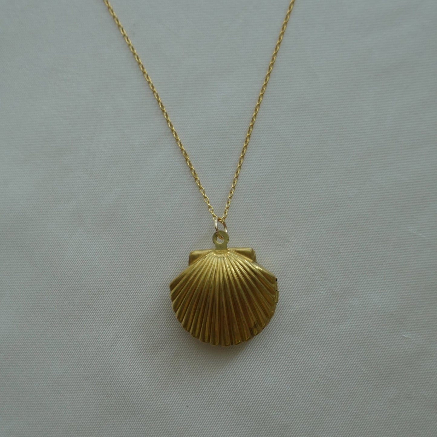 Vintage seashell locket necklace