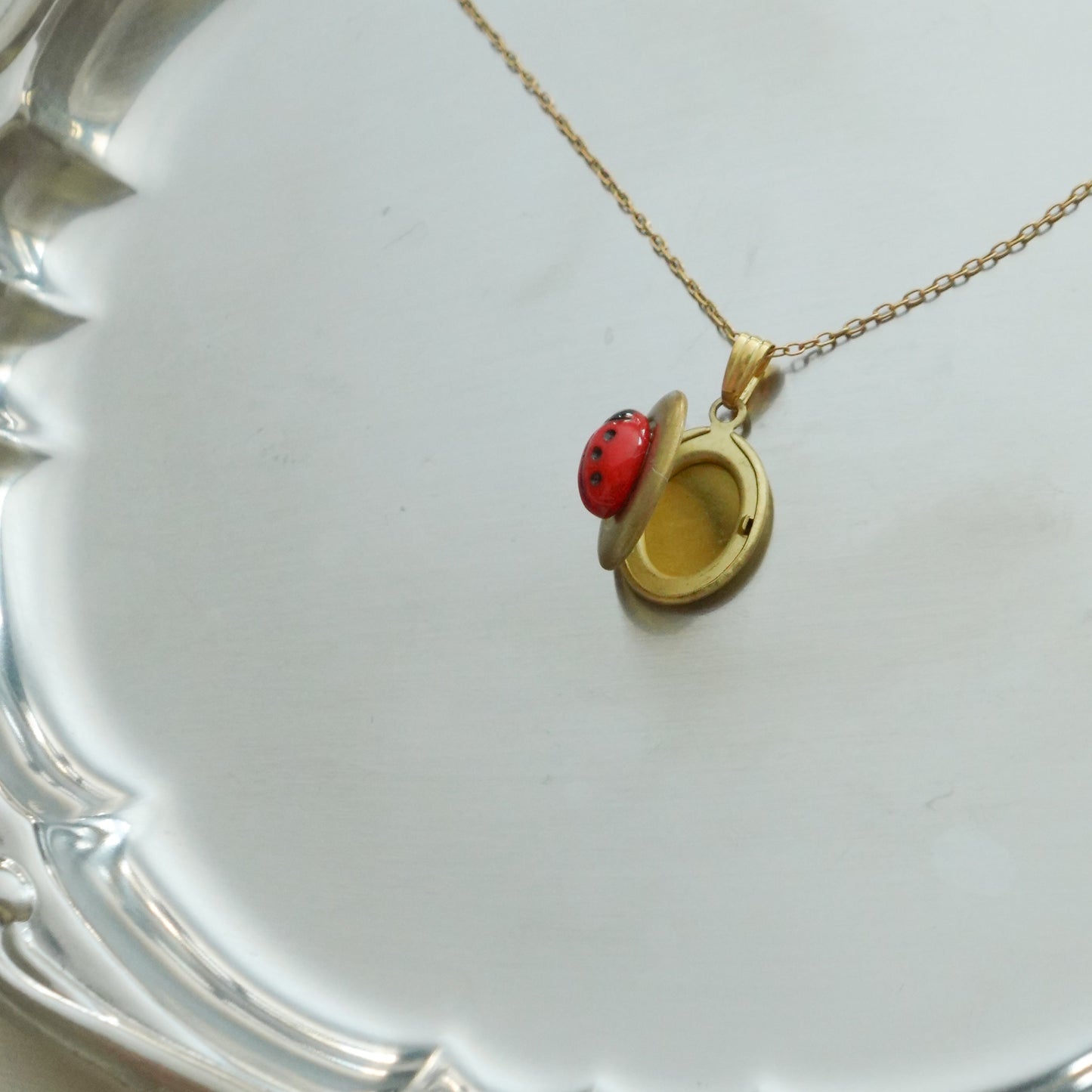 70s vintage tiny locket-lady bug