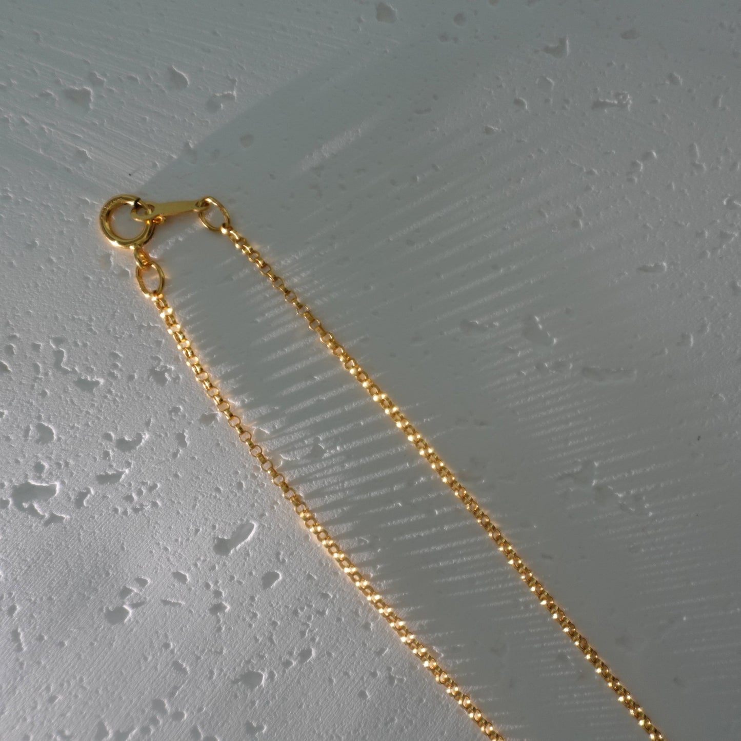 Seashell Pendant Necklace