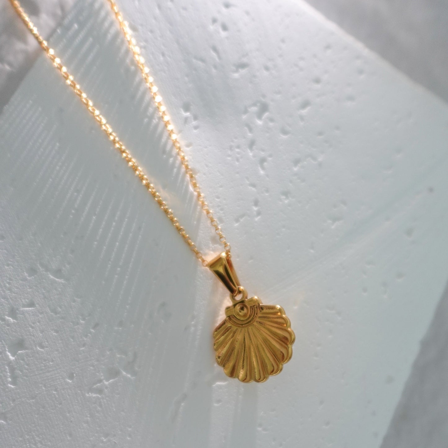 Seashell Pendant Necklace